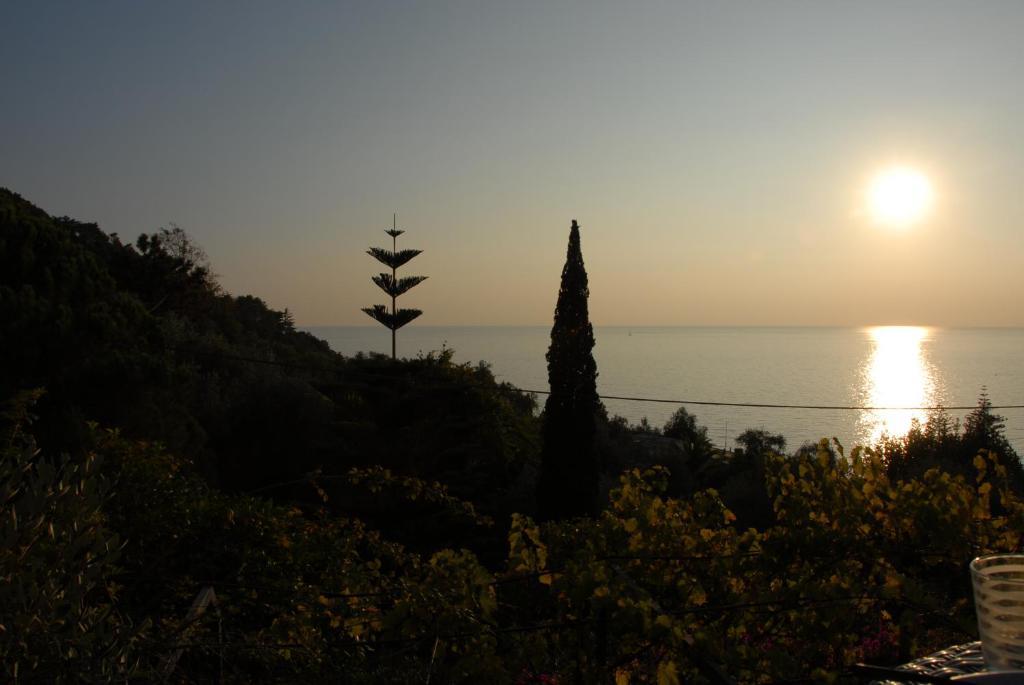 Hotel Villa Belvedere Bonassola Kültér fotó